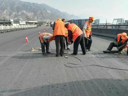 天等道路桥梁病害治理